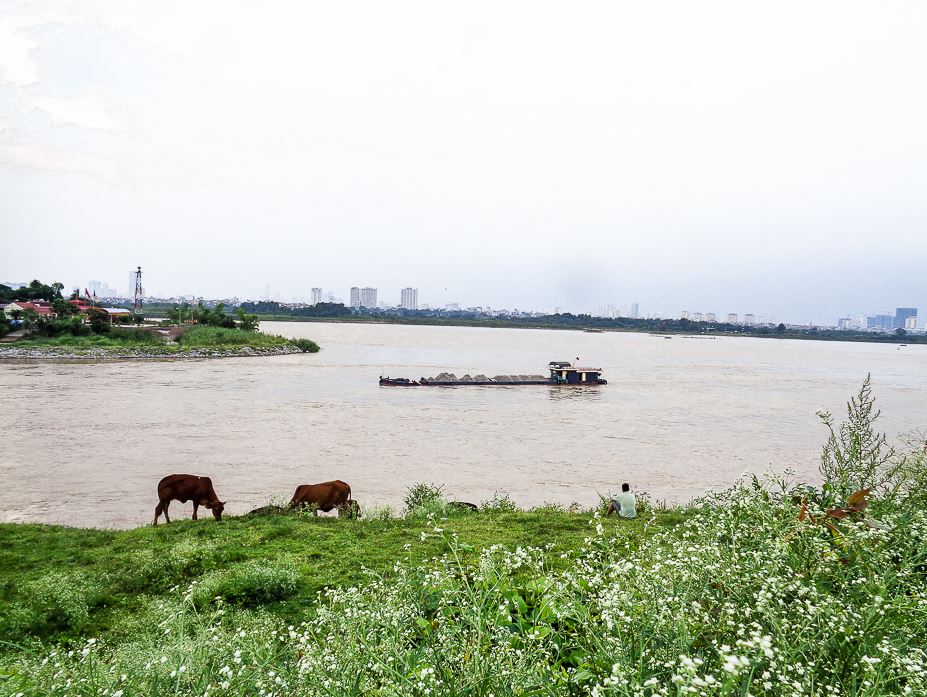 Cắm trại Bắc Ninh - Bãi đê Sông Đuống