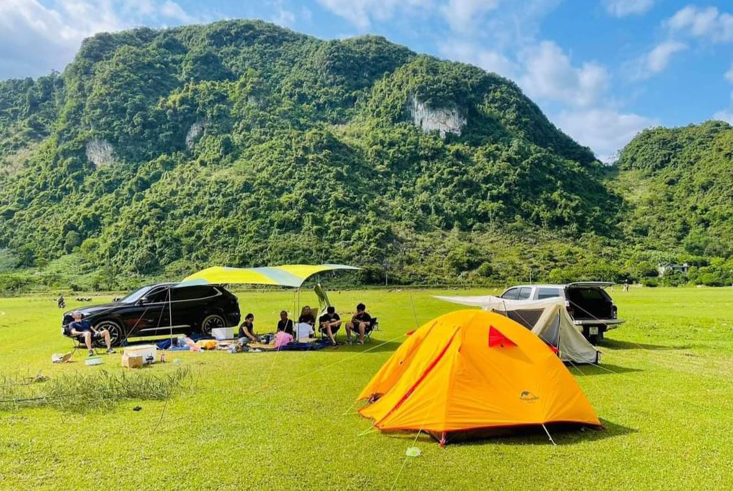 camping đồng cỏ