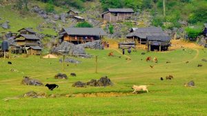 hang táu mộc châu